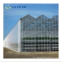 Venlo Glass Greenhouse pour le prix de l&#39;agriculture Taille personnalisée
